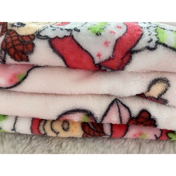 Strawberry Shortcake Classic 60 X 90” Soft Plush Blanket TWIN Size Poses Flowers - Picture 13 of 16